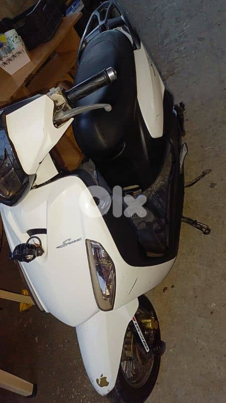 الجنوب صور دوار البص 1