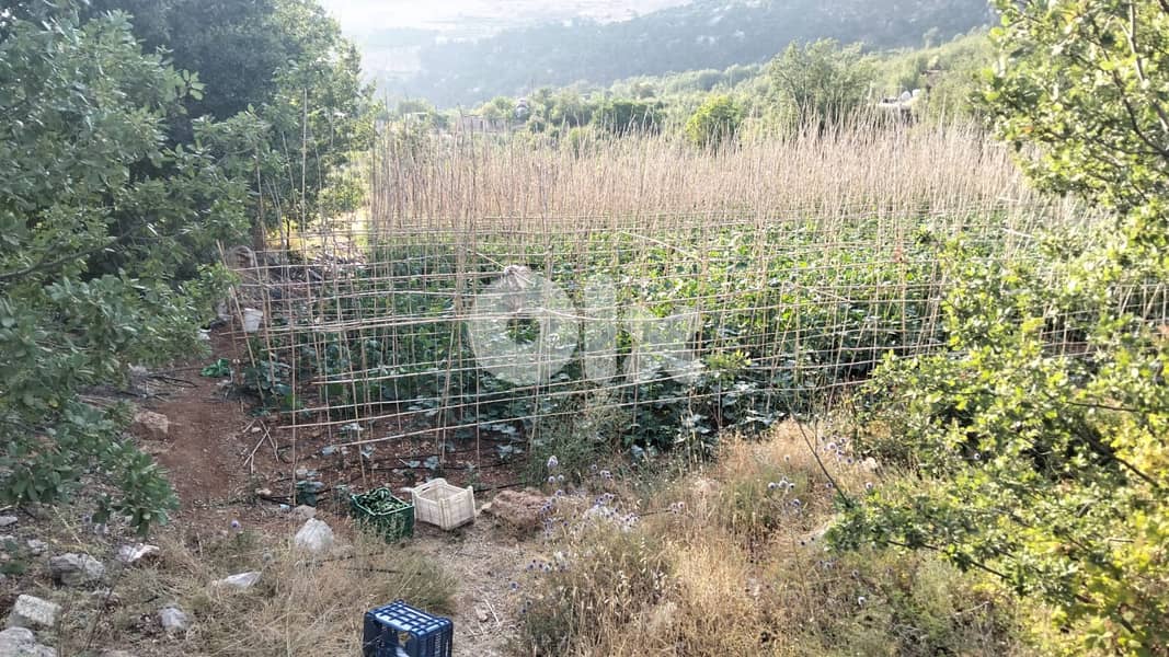 Land for Sale – Baskinta / Sannine 2