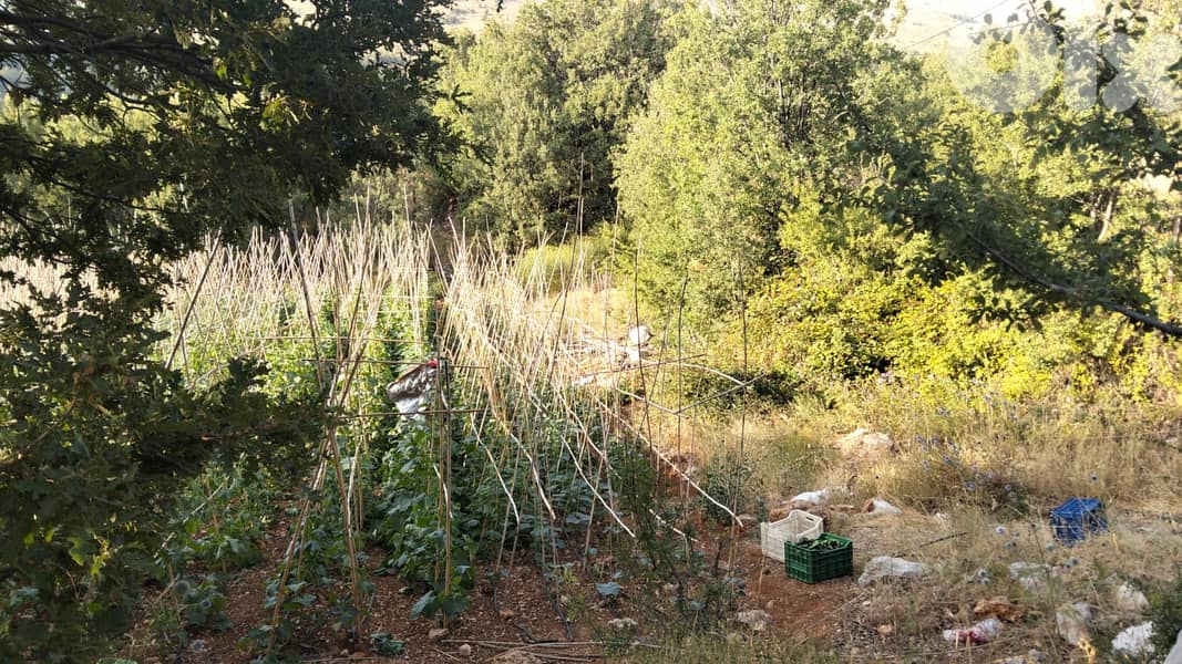 Land for Sale – Baskinta / Sannine 4