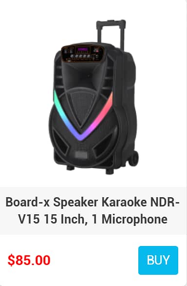 BOARD-X KARAOKE SPEAKER WITH MICROPHONES 2
