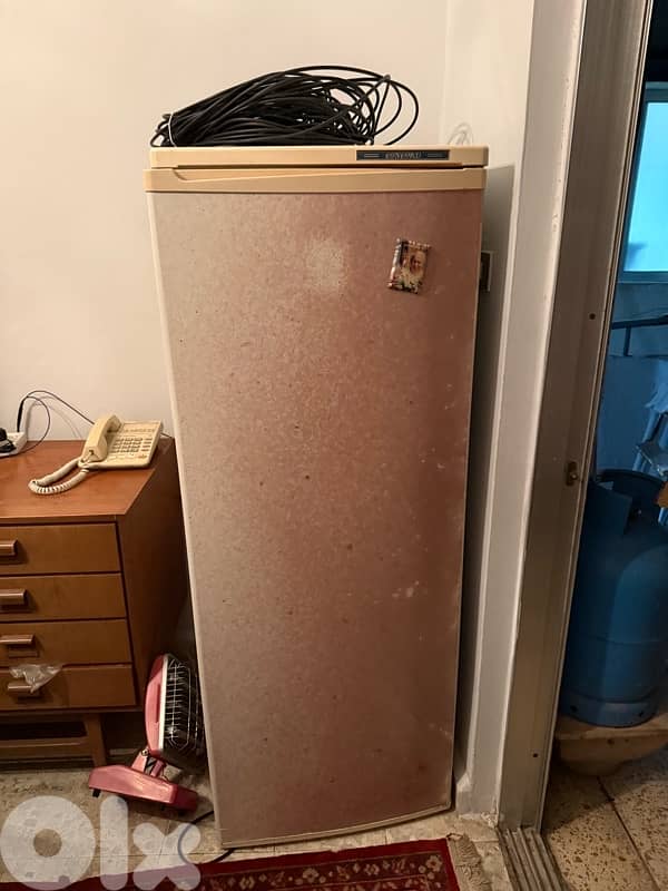 freezer campomatic 1