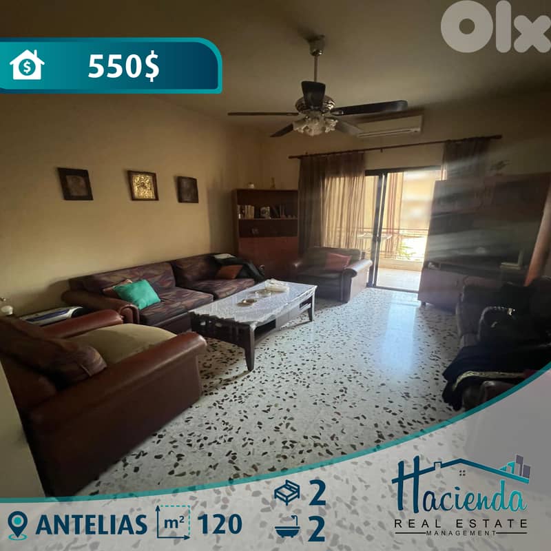 Apartment For Rent In Antelias 0