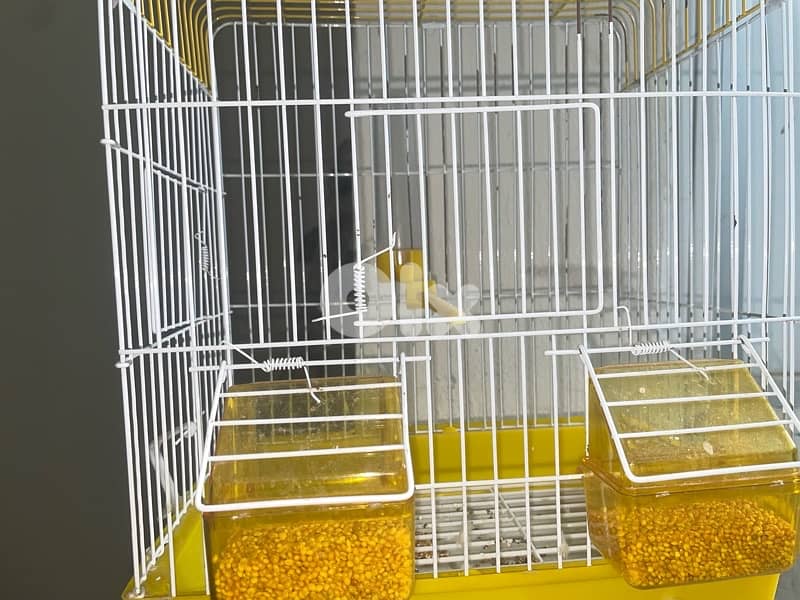 قفص عصافير 10$ 1