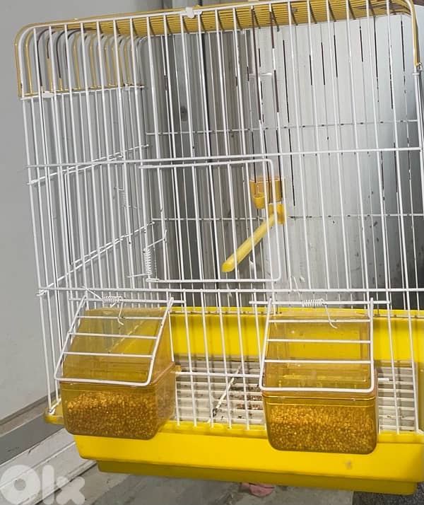 قفص عصافير 10$ 2