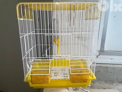 قفص عصافير 10$