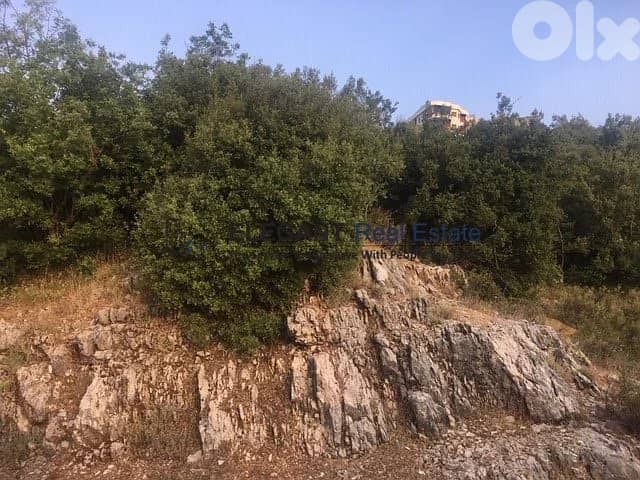 Plot of Land | Green Neighborhood | Easy Access 1