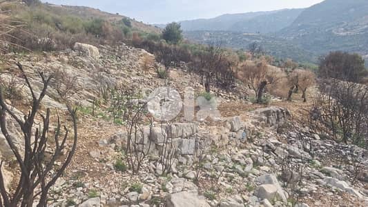 land for sale in bechaale, batroun