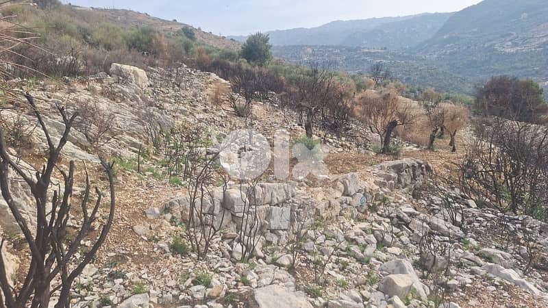 land for sale in bechaale, batroun 0