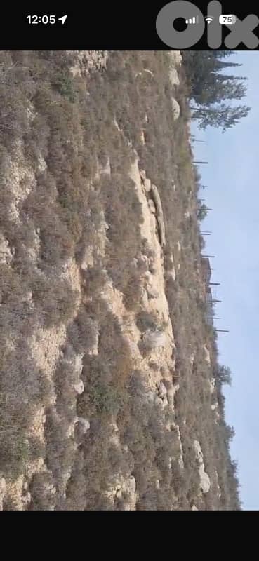 land for sale in bechaale, batroun 2