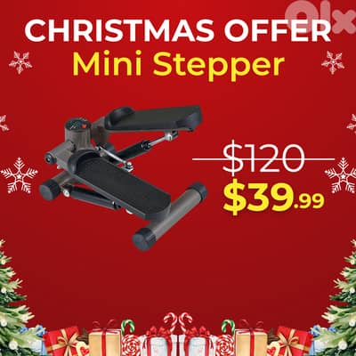 Bodysculpture Mini Stepper