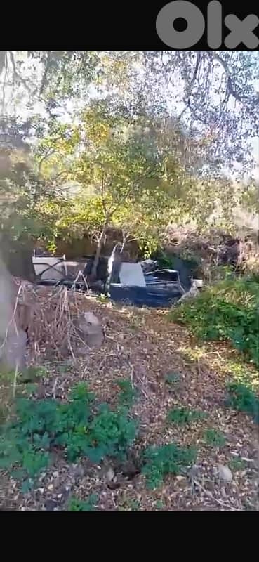 780m land zone 30/60 3Floors Building Commercial Residential Baalchmai 5