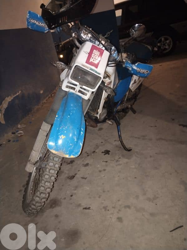 جية محطة الأيتام 3