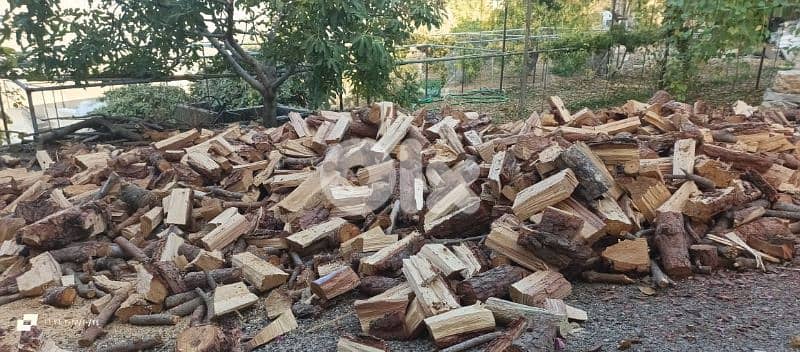 غزير حياطة 1