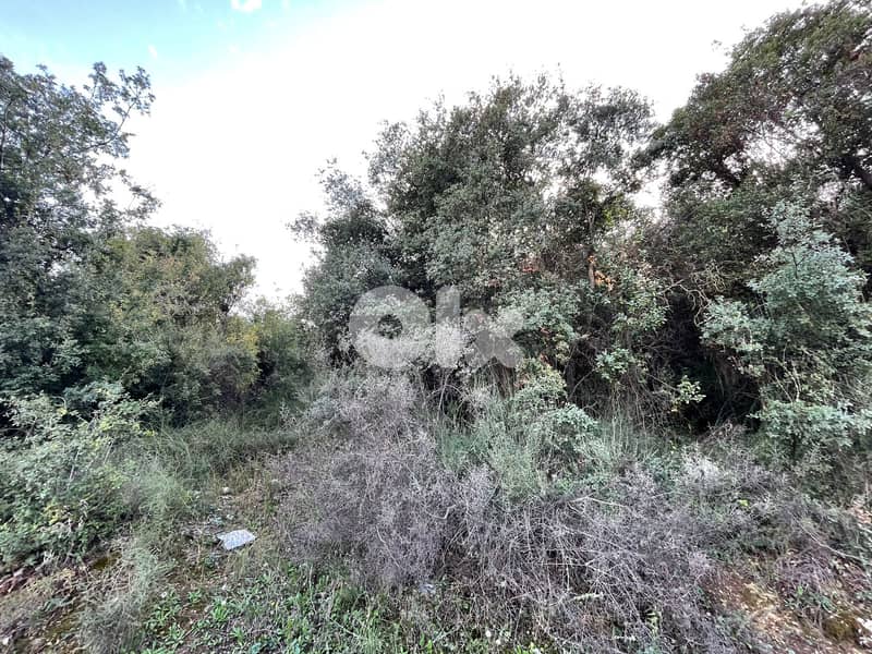 land for sale ارضً للبيع فيً منطقه البترون 1