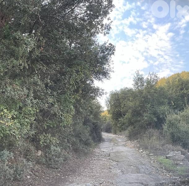 land for sale ارضً للبيع فيً منطقه البترون 2