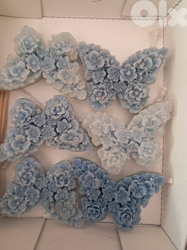 اول الاءجنحة 6