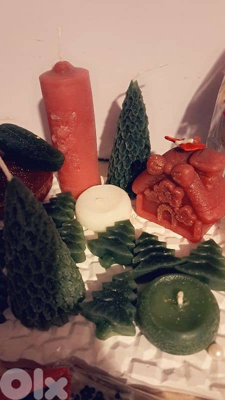 اول الاءجنحة 12