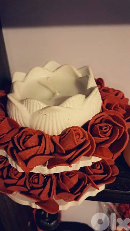 اول الاءجنحة 13