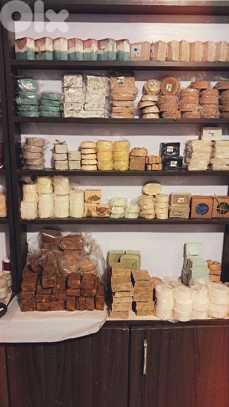 اول الاءجنحة 19