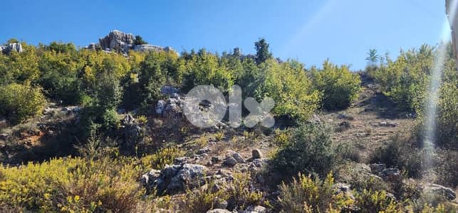 Prime land in Achkout for Sale - أرض للبيع في منطقة عشقوت