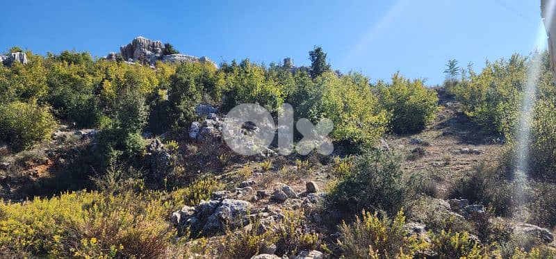 Prime land in Achkout for Sale - أرض للبيع في منطقة عشقوت 0