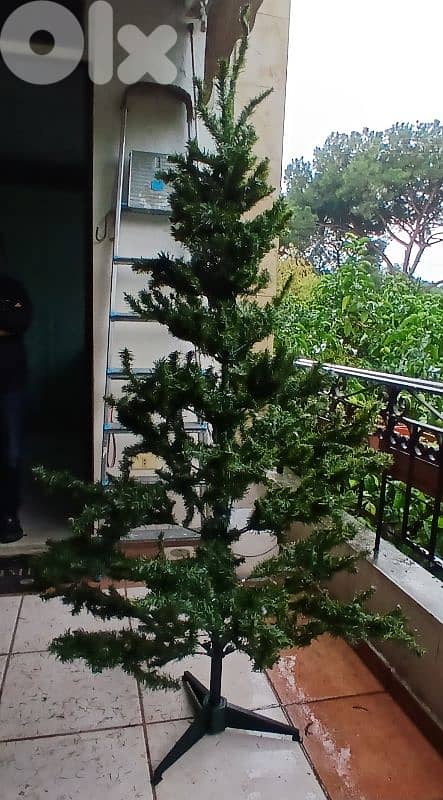 شجرة ميلاد 1