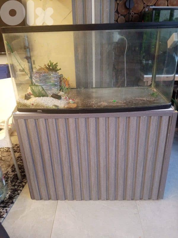 aquarium for sale 0
