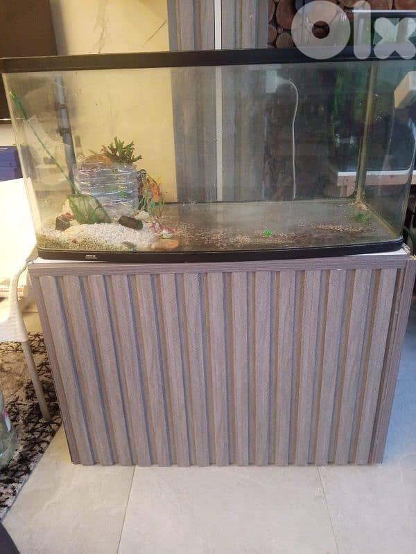 aquarium for sale 1