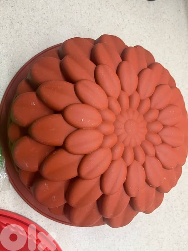 cake mold 2