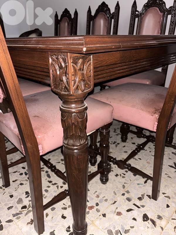 Dining Room and Salon 8