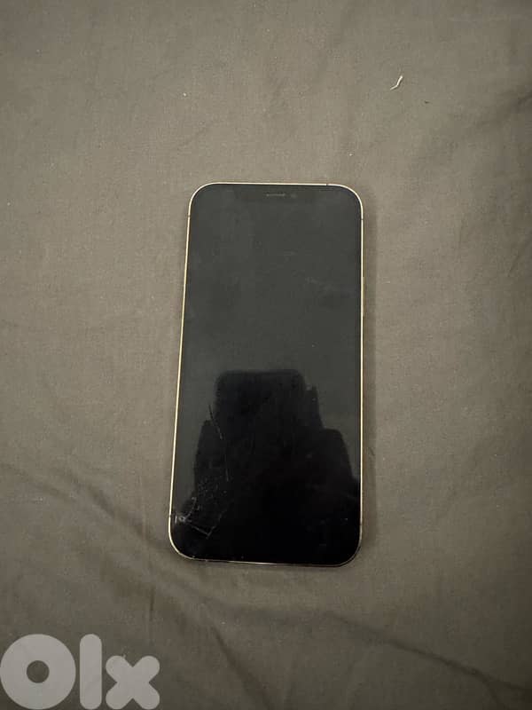 iphone 12 pro and 11 pro max 1