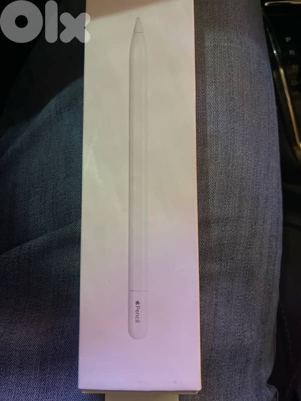 apple pen (USB-C) 0