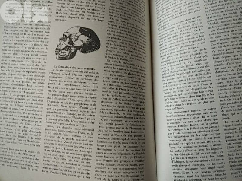 Vintage Encyclopedia Lumières - Not Negotiable 1