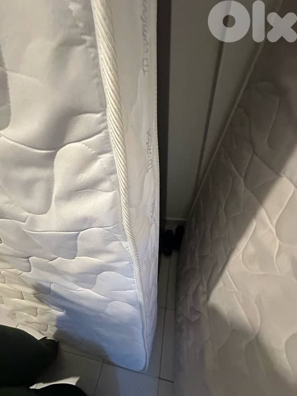 فرشة مفرد ونص 2