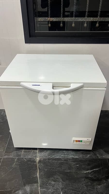 LG Fridge & Liebherr Freezer 4