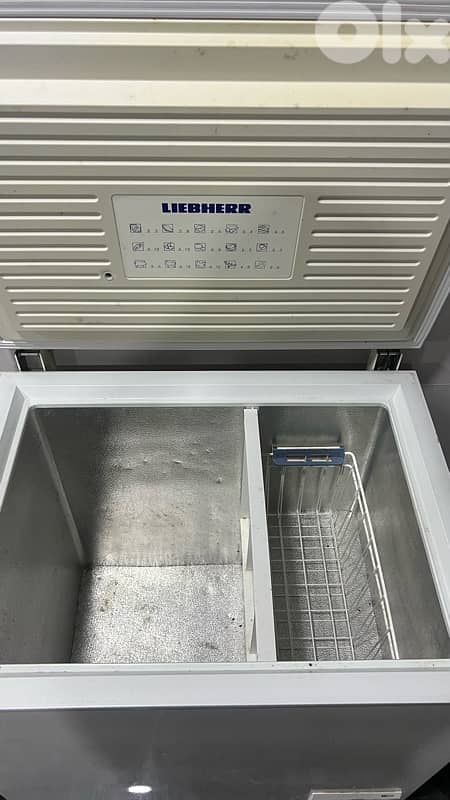 LG Fridge & Liebherr Freezer 6