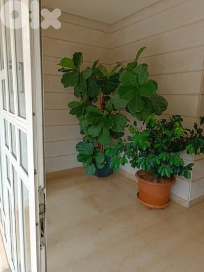 Apartment for sale in Kfarhbab | شقة للبيع في كفرحباب