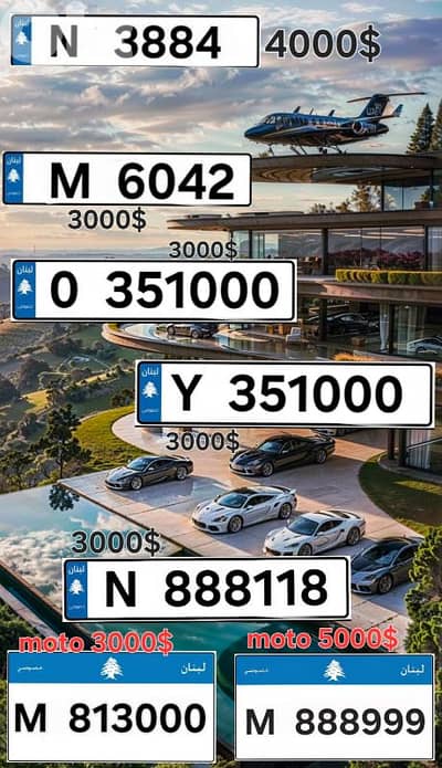 صكوك تخصيص جاهزة لكل الأرقام