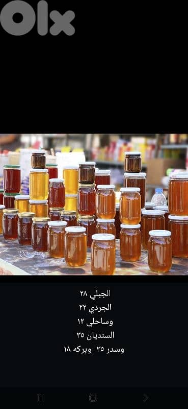 طرابلس