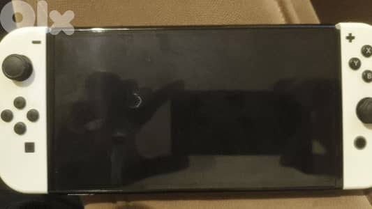 nintendo switsh oled