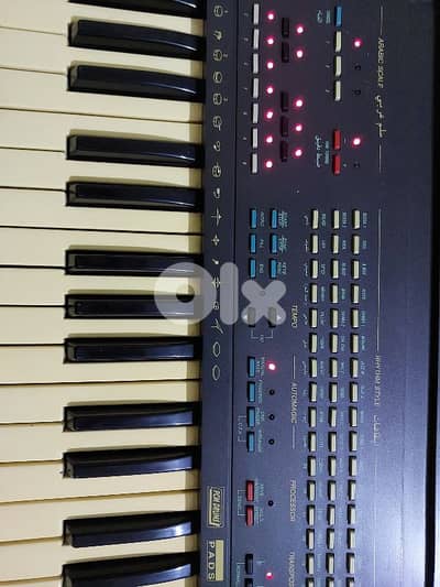 اورج جيم ايطالي شرقي