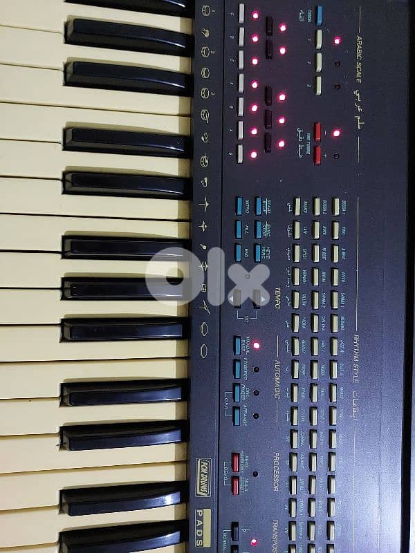 اورج جيم ايطالي شرقي 0