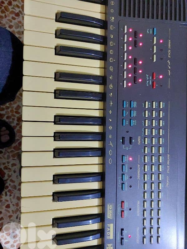 اورج جيم ايطالي شرقي 1