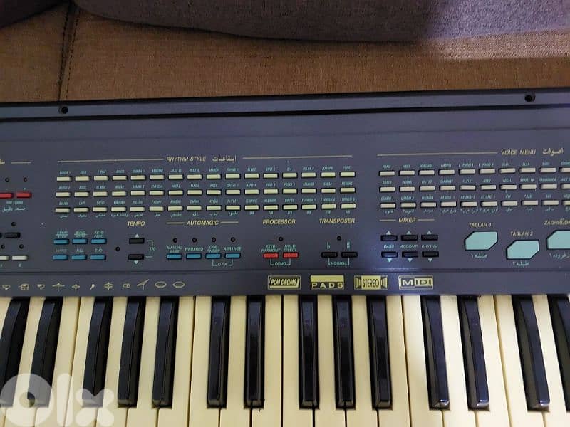 اورج جيم ايطالي شرقي 2