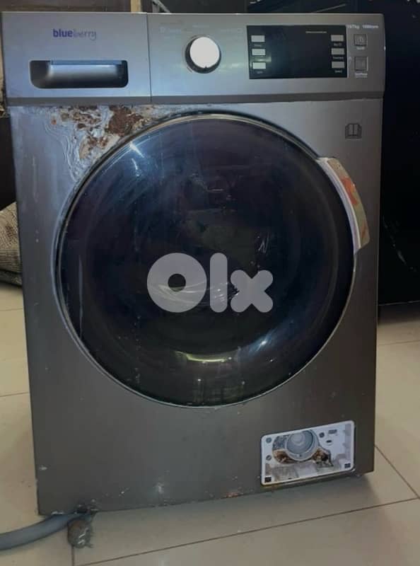 غسالة blueberry 0