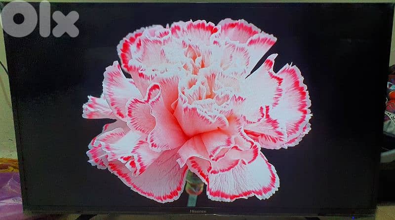 شاشة Hisense  smart tv الحاله ممتاز بعدو بل نايلو عله جديد 6
