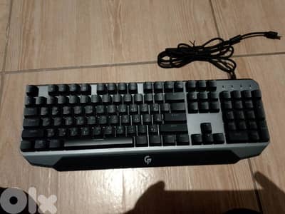 Wired keyboard