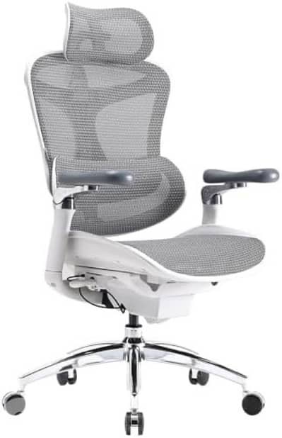 SIHOO Doro C300 Pro Ergonomic Office Chair with 6D Ultra Soft Armrests