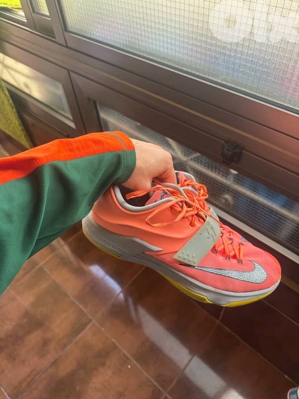 shoes dunks Nike Jordan size 46-47 1