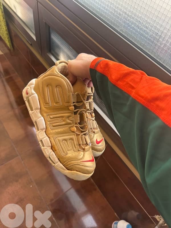 shoes dunks Nike Jordan size 46-47 7